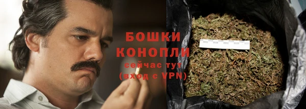 дурь Козельск