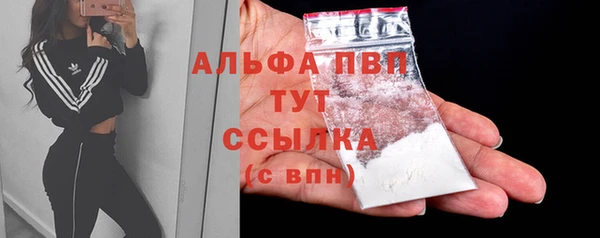ешки Корсаков