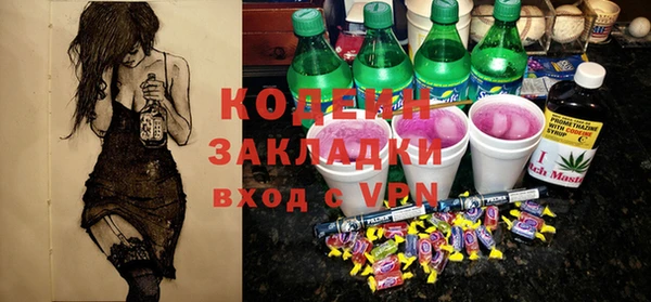 ешки Корсаков