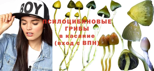 ешки Корсаков