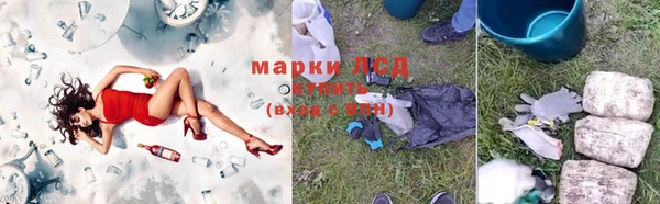 СК Козловка