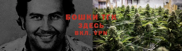 дурь Козельск